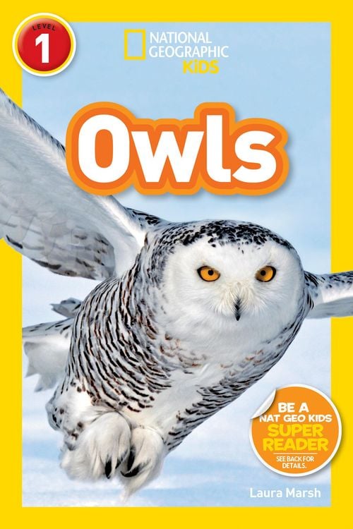 Produktbild: Owls (National Geographic Kids Readers, Level 1)