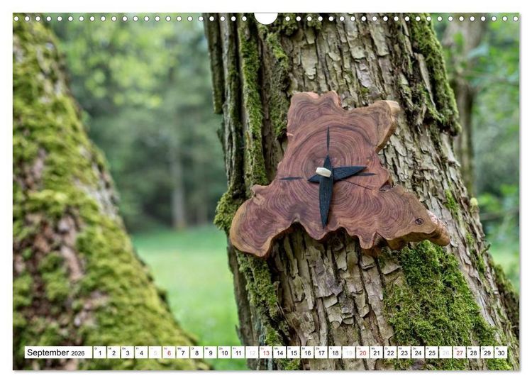 Produktbild: Holz entt&auml;uscht nie (Wandkalender 2026 DIN A3 quer), CALVENDO Monatskalender