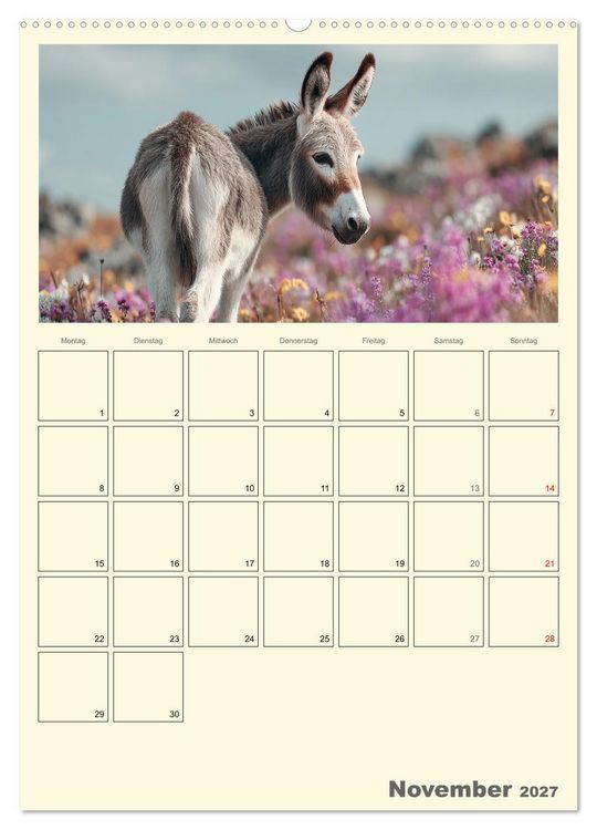 Produktbild: Eselmomente. Natur, Freiheit und Charakter (Wandkalender 2027 DIN A2 hoch), CALVENDO Monatskalender