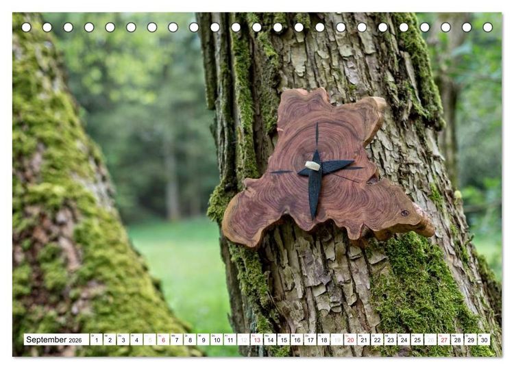 Produktbild: Holz entt&auml;uscht nie (Tischkalender 2026 DIN A5 quer), CALVENDO Monatskalender