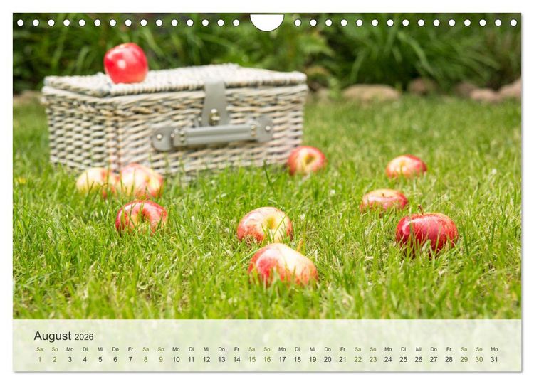 Produktbild: ApfelZEIT - Nat&uuml;rlich k&ouml;stlich (Wandkalender 2026 DIN A4 quer), CALVENDO Monatskalender