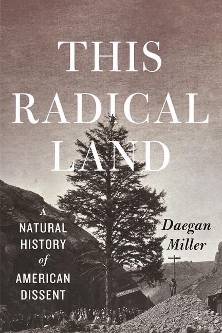 Produktbild: This Radical Land
