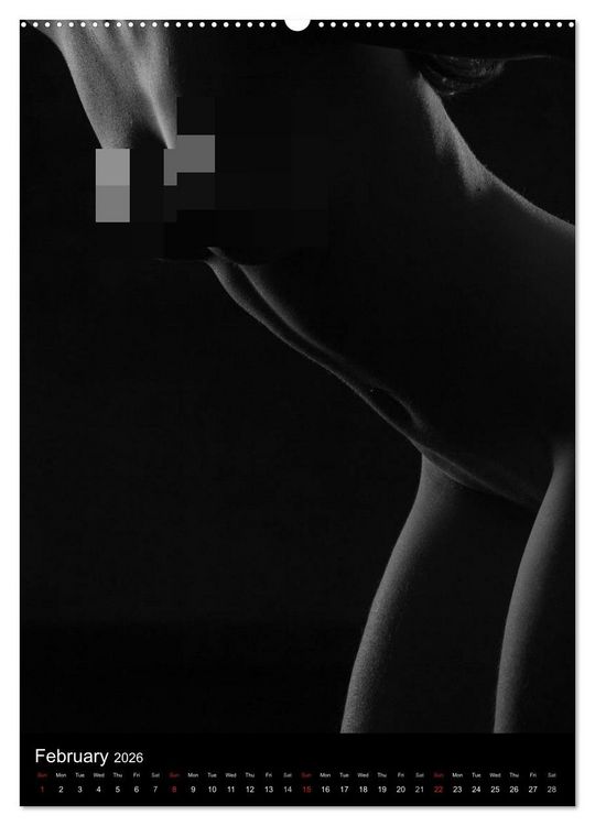 Produktbild: Erotic Silhouettes / UK-Version (High Quality Premium Wall Calendar 2026 DIN A2 portrait),CALVENDO 12 Month Wall Calendar