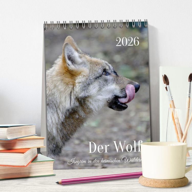 Produktbild: Der Wolf - Isegrim in den heimischen W&auml;ldern - Kalender 2026 (Tischkalender 2026 DIN A5 hoch), CALVENDO Monatskalender