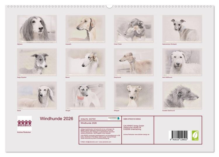 Produktbild: Windhunde 2026 (hochwertiger Premium Wandkalender 2026 DIN A2 quer), Kunstdruck in Hochglanz