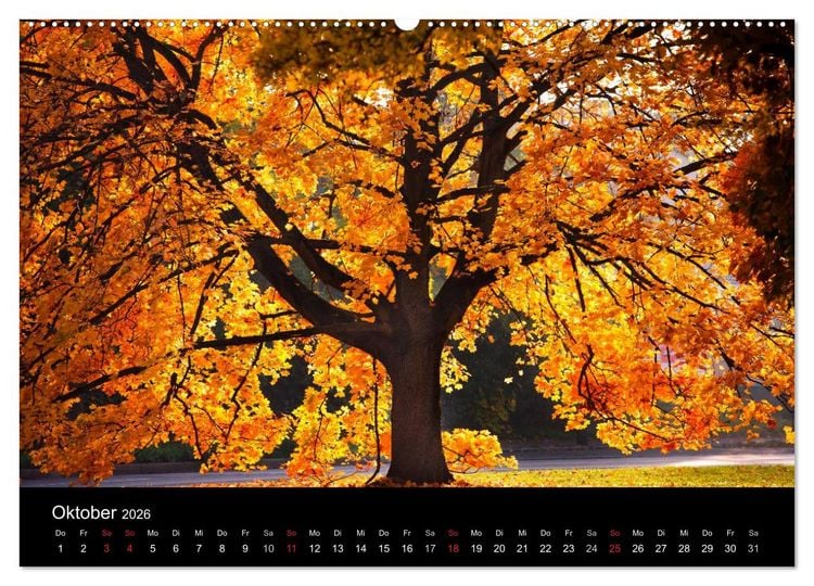 Produktbild: Farben der Natur (hochwertiger Premium Wandkalender 2026 DIN A2 quer), Kunstdruck in Hochglanz
