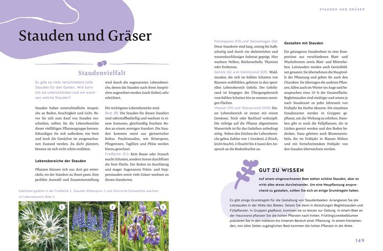 Produktbild: G&auml;rtnern f&uuml;r Gartenneulinge