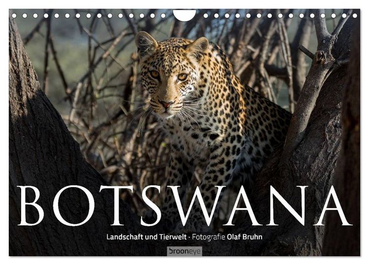 Produktbild: Botswana &ndash; Landschaft und Tierwelt (Wandkalender 2026 DIN A4 quer), CALVENDO Monatskalender