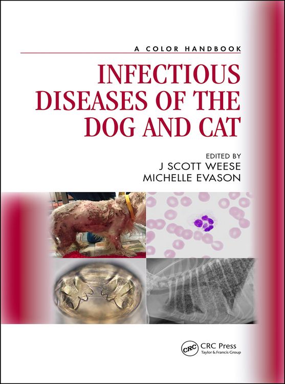 Produktbild: Infectious Diseases of the Dog and Cat