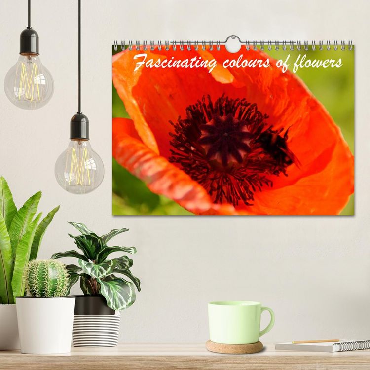 Produktbild: Fascinating colours of flowers (Wall Calendar 2026 DIN A4 landscape), CALVENDO 12 Month Wall Calendar