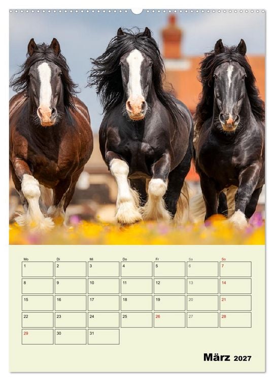 Produktbild: Shire Horse Magie. Englands sanfte Giganten (hochwertiger Premium Wandkalender 2027 DIN A2 hoch), Kunstdruck in Hochglanz