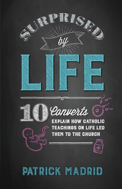 Produktbild: Surprised by Life