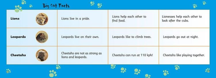 Produktbild: Big Cat Babies