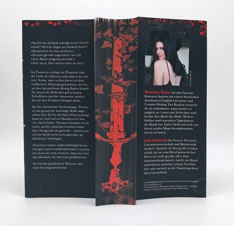 Produktbild: Heir of Illusion