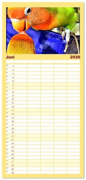 Produktbild: Familienplaner 2026 - Die Unzertrennlichen mit 5 Spalten (Wandkalender, 21 x 45 cm) CALVENDO