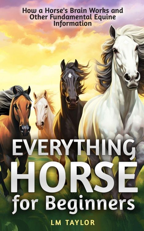 Produktbild: Everything Horse for Beginners