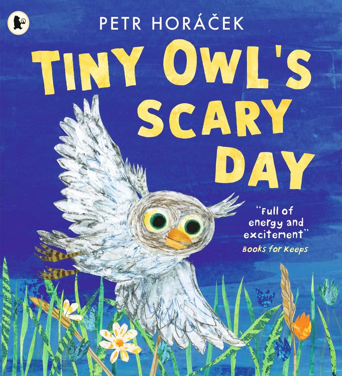 Produktbild: Tiny Owl's Scary Day