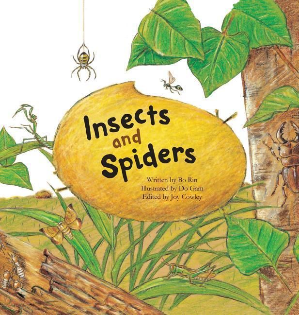 Produktbild: Insects and Spiders
