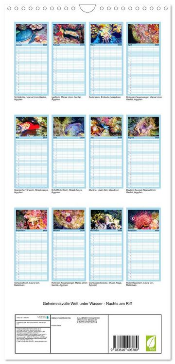 Produktbild: Familienplaner 2026 - Geheimnisvolle Welt unter Wasser - Nachts am Riff mit 5 Spalten (Wandkalender, 21 x 45 cm) CALVENDO
