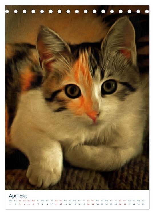 Produktbild: Umbrian Cats (Desk Calendar 2026 DIN A5 portrait), CALVENDO 12 Month DeskCalendar