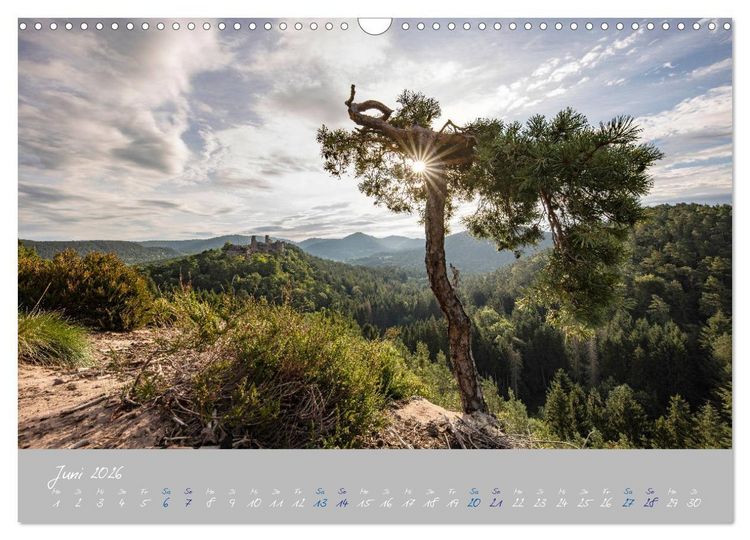 Produktbild: Ausfl&uuml;ge in der Heimat - Die Pfalz (Wandkalender 2026 DIN A3 quer), CALVENDO Monatskalender