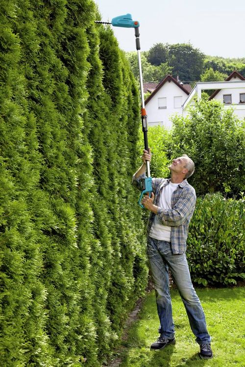 Produktbild: GARDENA THS 42/18V P4solo Akku Teleskop-Heckenschere ohne Akku 18V Li-Ion