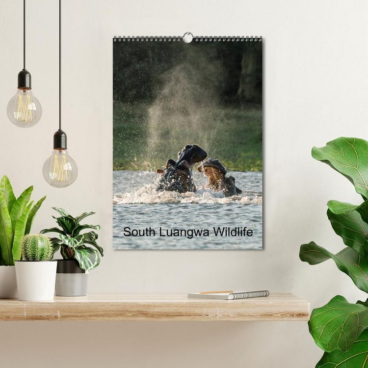 Produktbild: South Luangwa Wildlife (Wall Calendar 2026 DIN A3 portrait), CALVENDO 12 Month Wall Calendar