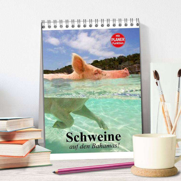 Produktbild: Schweine auf den Bahamas! (Tischkalender 2026 DIN A5 hoch), CALVENDO Monatskalender