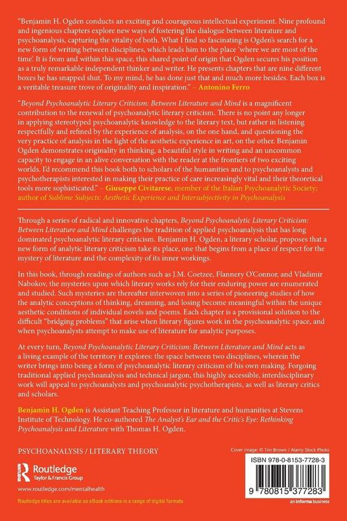 Produktbild: Beyond Psychoanalytic Literary Criticism