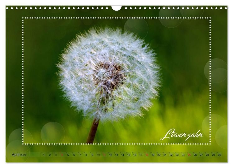 Produktbild: Bl&uuml;tenbouquet (Wandkalender 2027 DIN A3 quer), CALVENDO Monatskalender