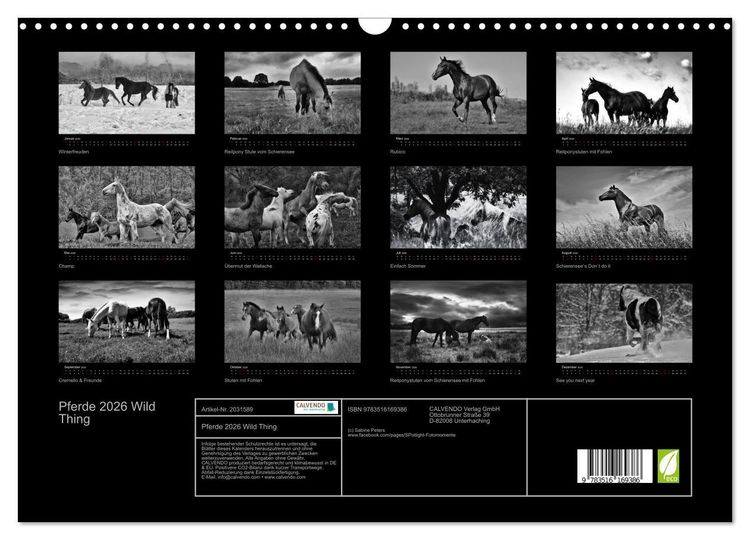 Produktbild: Pferde 2026 Wild Thing (Wandkalender 2026 DIN A3 quer), CALVENDO Monatskalender