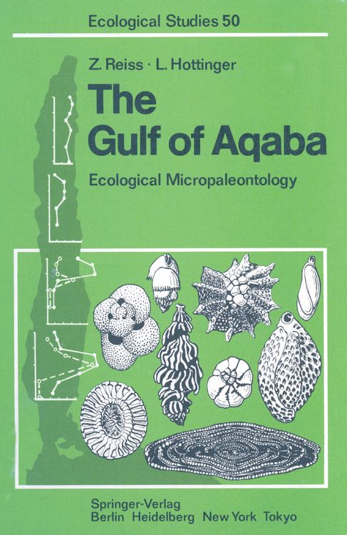 Produktbild: The Gulf of Aqaba