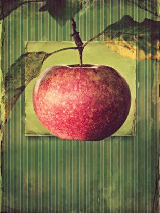Produktbild: CALVENDO Puzzle Apfel im vintagelook | 1000 Teile Lege-Gr&ouml;&szlig;e 64x48cm Foto-Puzzle f&uuml;r gl&uuml;ckliche Stunden