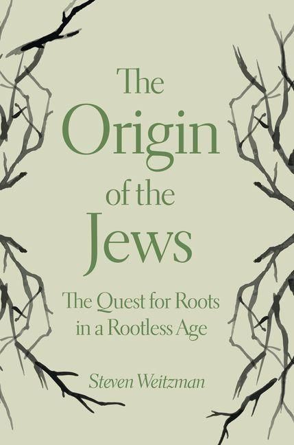 Produktbild: Origin of the Jews