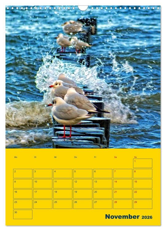 Produktbild: Sehnsuchtsort Ostseeinsel Poel (Wandkalender 2026 DIN A3 hoch), CALVENDO Monatskalender