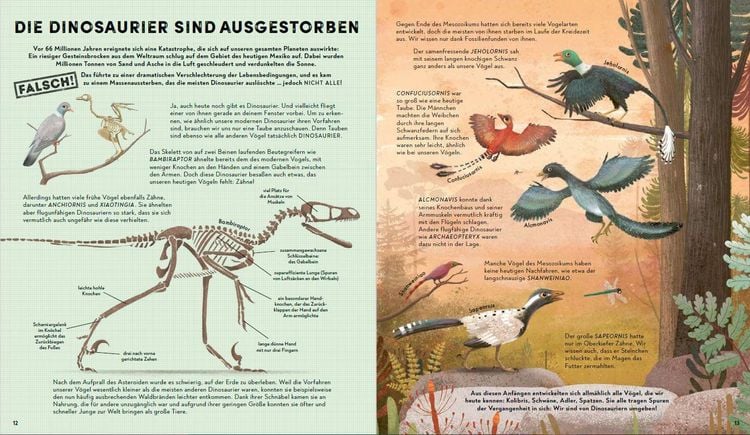 Produktbild: Alles, was wir über Dinosaurier wissen, ist falsch!