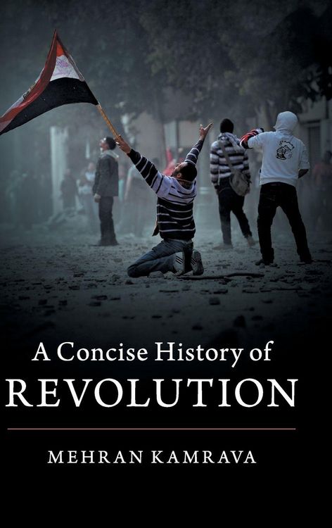 Produktbild: A Concise History of Revolution