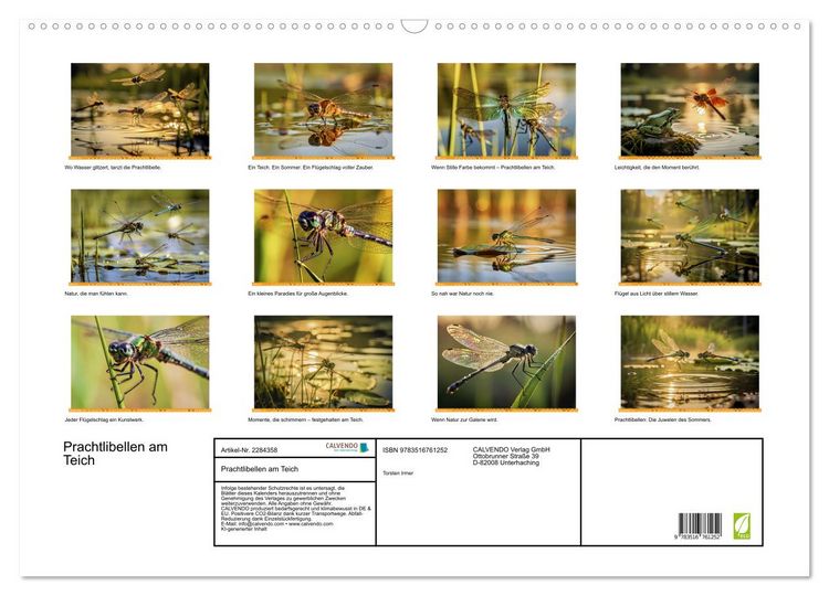 Produktbild: Prachtlibellen am Teich (Wandkalender 2027 DIN A2 quer), CALVENDO Monatskalender