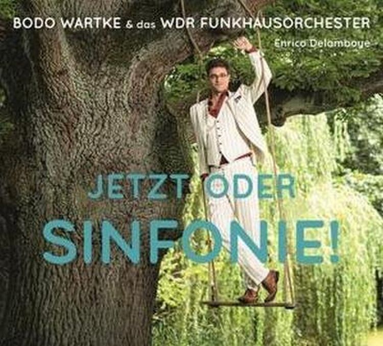 Produktbild: Jetzt oder Sinfonie !