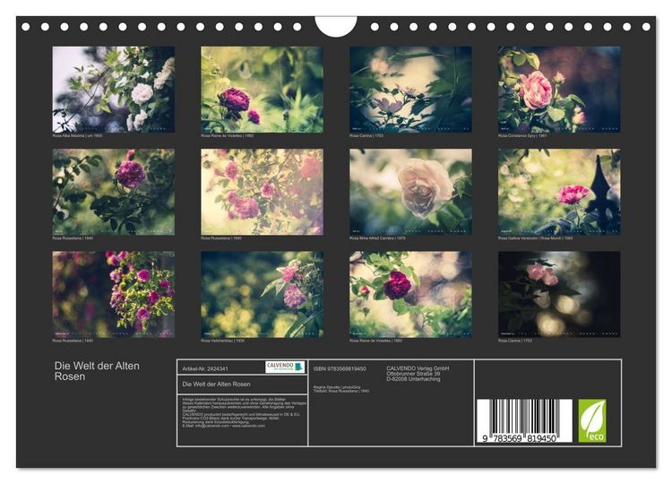 Produktbild: Die Welt der Alten Rosen (Wandkalender 2027 DIN A4 quer), CALVENDO Monatskalender