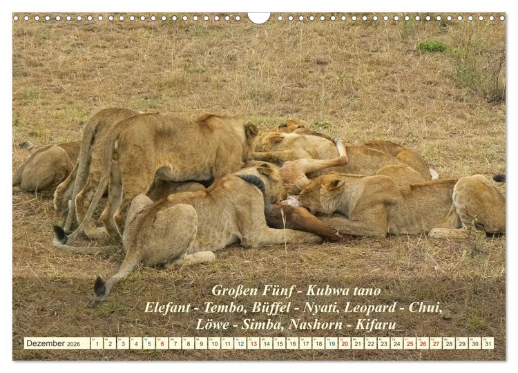 Produktbild: Jambo Kenya (Wandkalender 2026 DIN A3 quer), CALVENDO Monatskalender