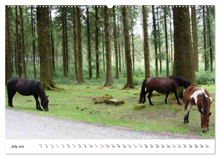 Produktbild: Charming - Mystic Devon Dartmoor, South England (High Quality Premium Wall Calendar 2026 DIN A2 landscape),CALVENDO 12 Month Wall Calendar