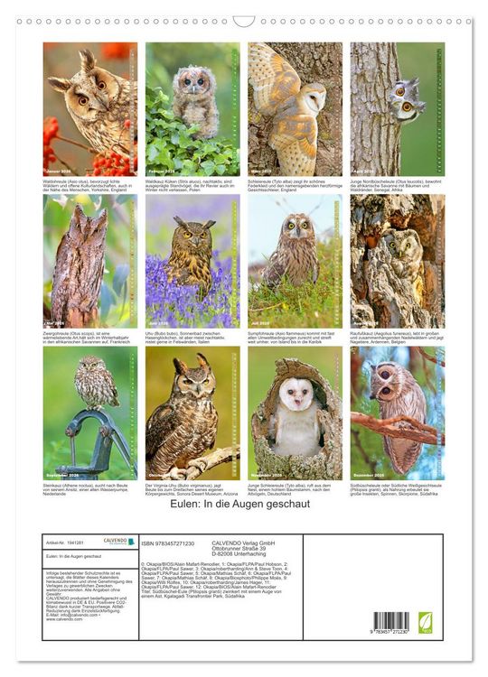 Produktbild: Eulen: In die Augen geschaut (Wandkalender 2026 DIN A2 hoch), CALVENDO Monatskalender