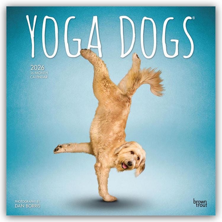 Produktbild: Yoga Dogs – Hunde Yoga 2026 – 16-Monatskalender