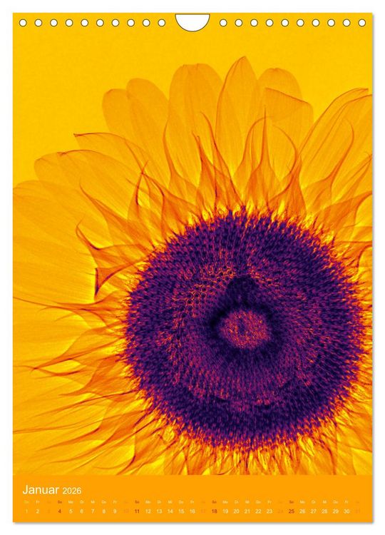 Produktbild: Durchleuchtete Blumenwelt 2026 (Wandkalender 2026 DIN A4 hoch), CALVENDO Monatskalender