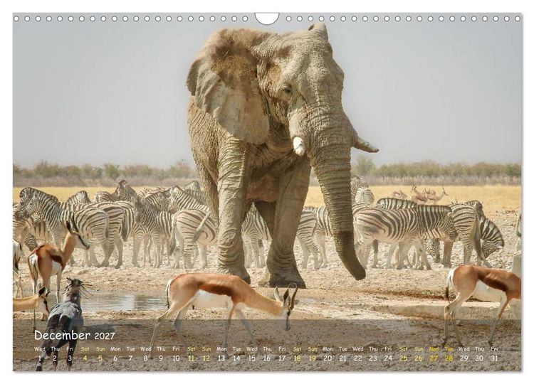 Produktbild: Namibia - African Beauty (Wall Calendar 2027 DIN A3 landscape), CALVENDO 12 Month Wall Calendar