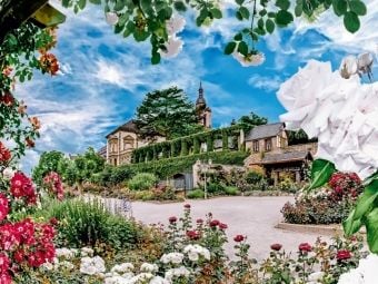 Produktbild: CALVENDO Puzzle Rheinpromenade | 1000 Teile Lege-Gr&ouml;&szlig;e 64x48cm Foto-Puzzle f&uuml;r gl&uuml;ckliche Stunden
