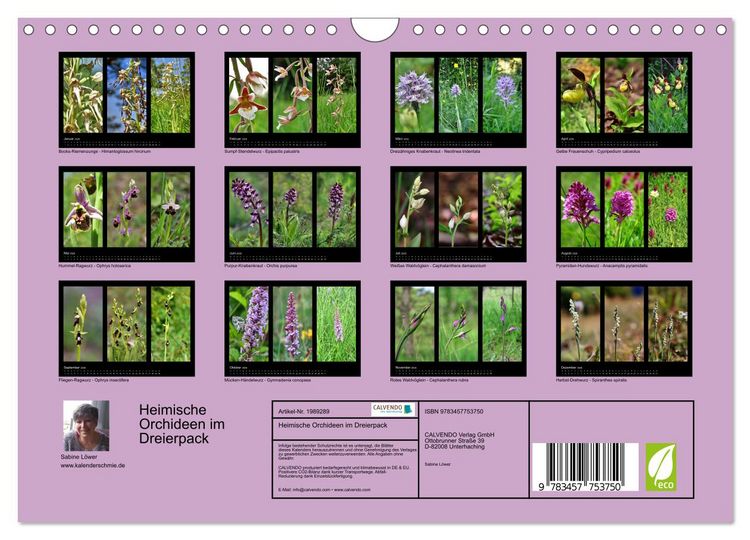 Produktbild: Heimische Orchideen im Dreierpack (Wandkalender 2026 DIN A4 quer), CALVENDO Monatskalender
