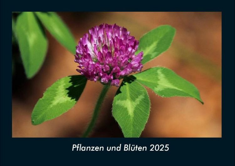Produktbild: Pflanzen und Bl&uuml;ten 2025 Fotokalender DIN A4