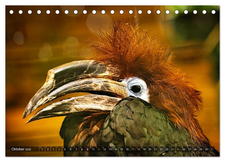 Produktbild: Imposante Vogelportr&auml;ts (Tischkalender 2026 DIN A5 quer), CALVENDO Monatskalender